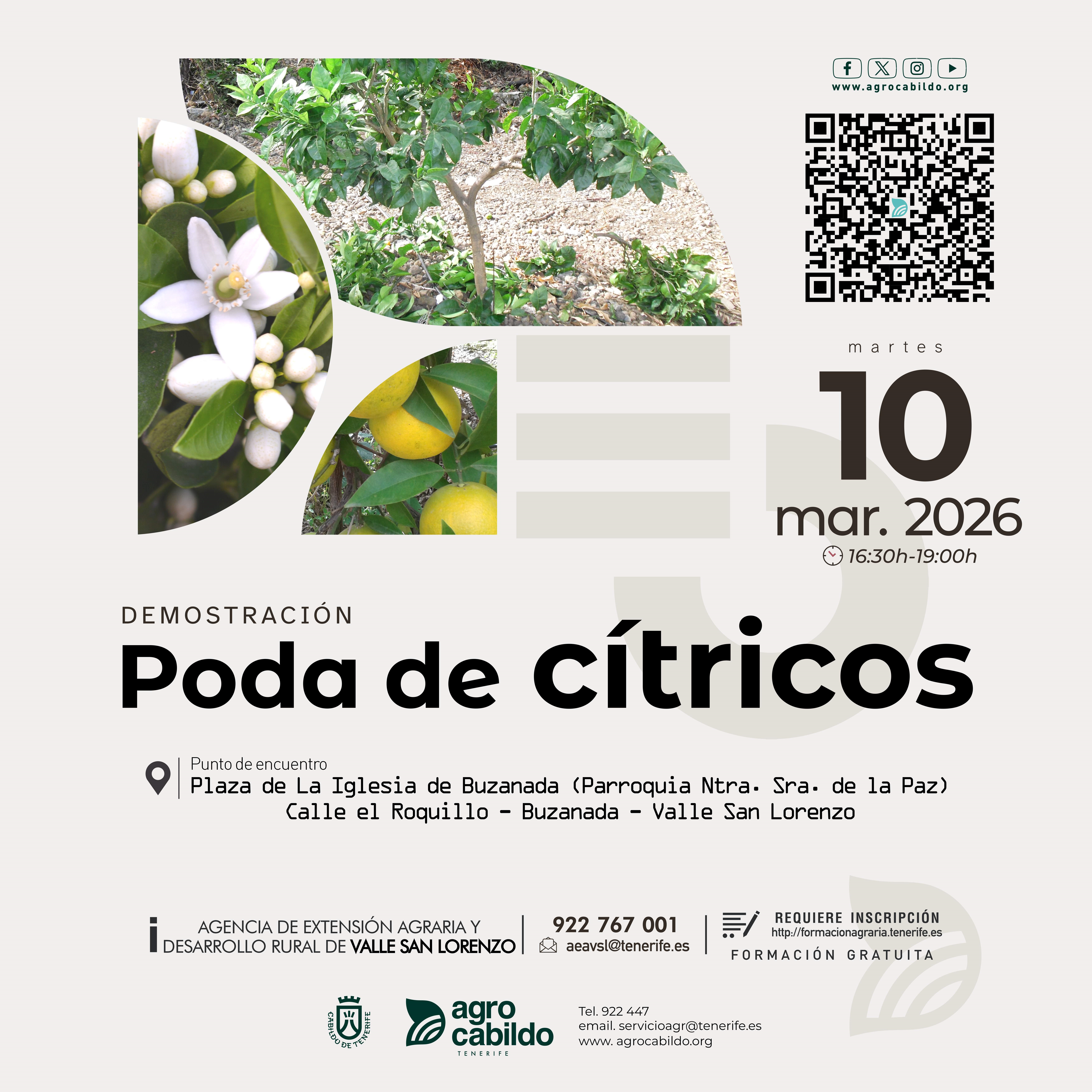 Demostración Poda de cítricos