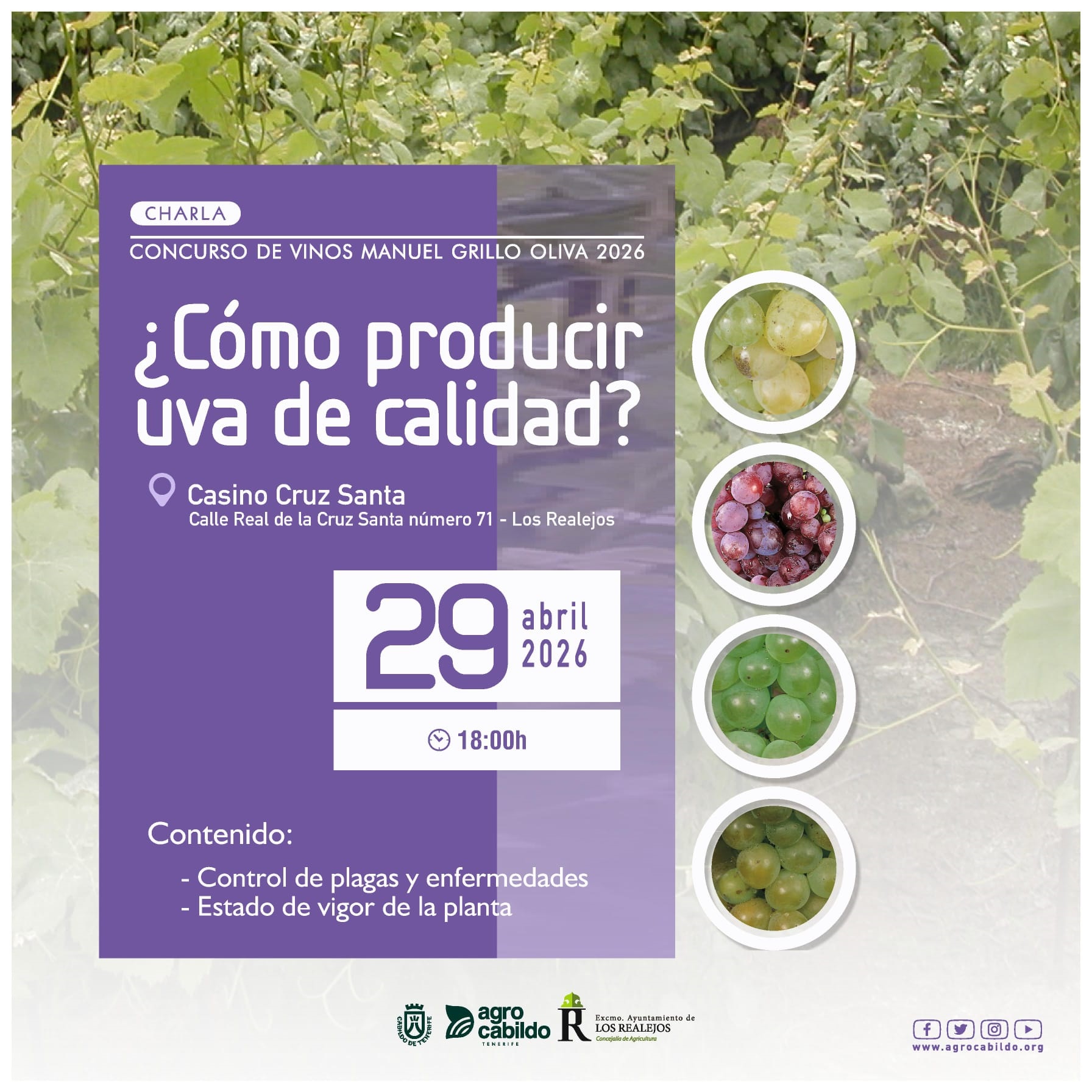 Charla ¿Cómo producir vino de calidad?