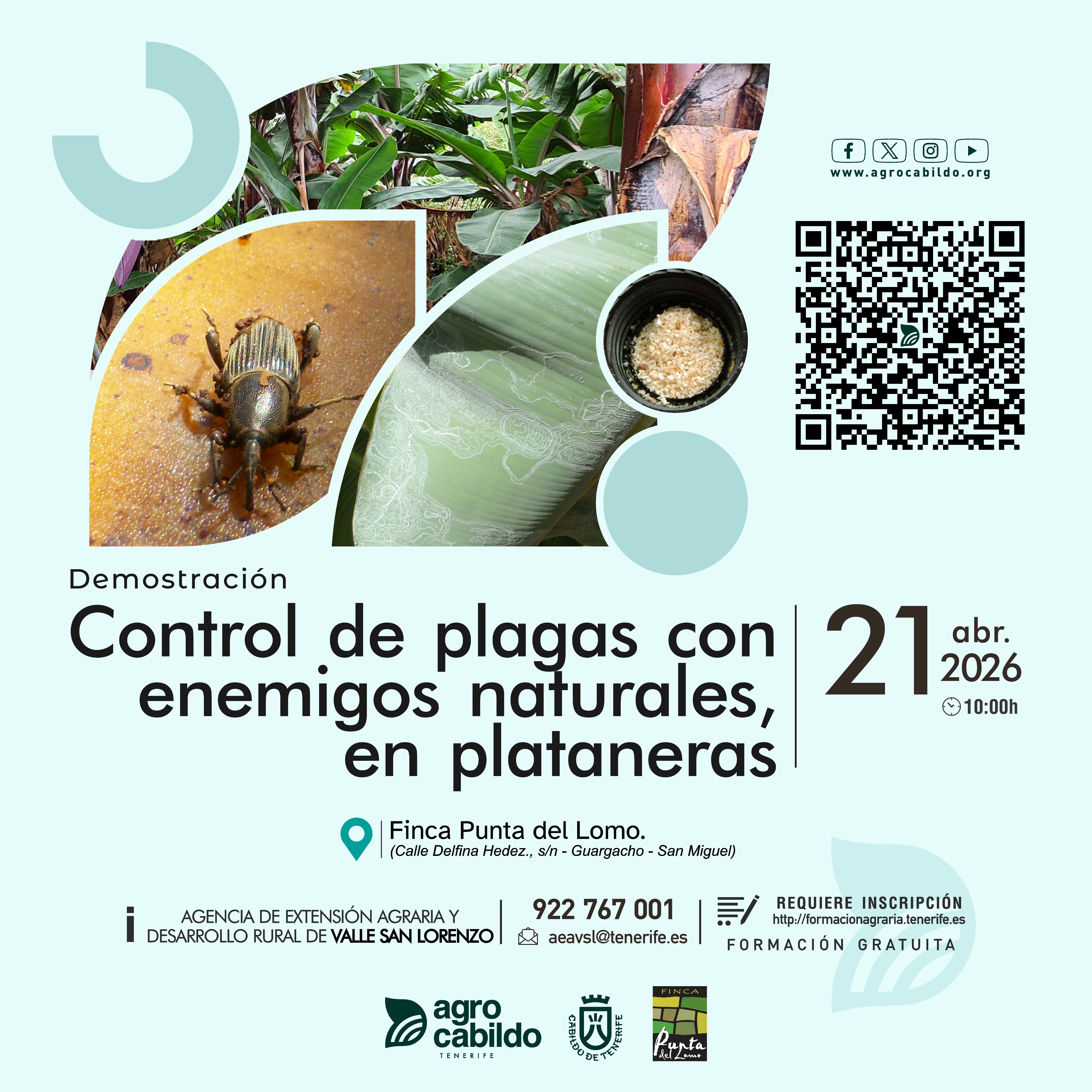 Demostración Control de plagas con enemigos naturales en platanera