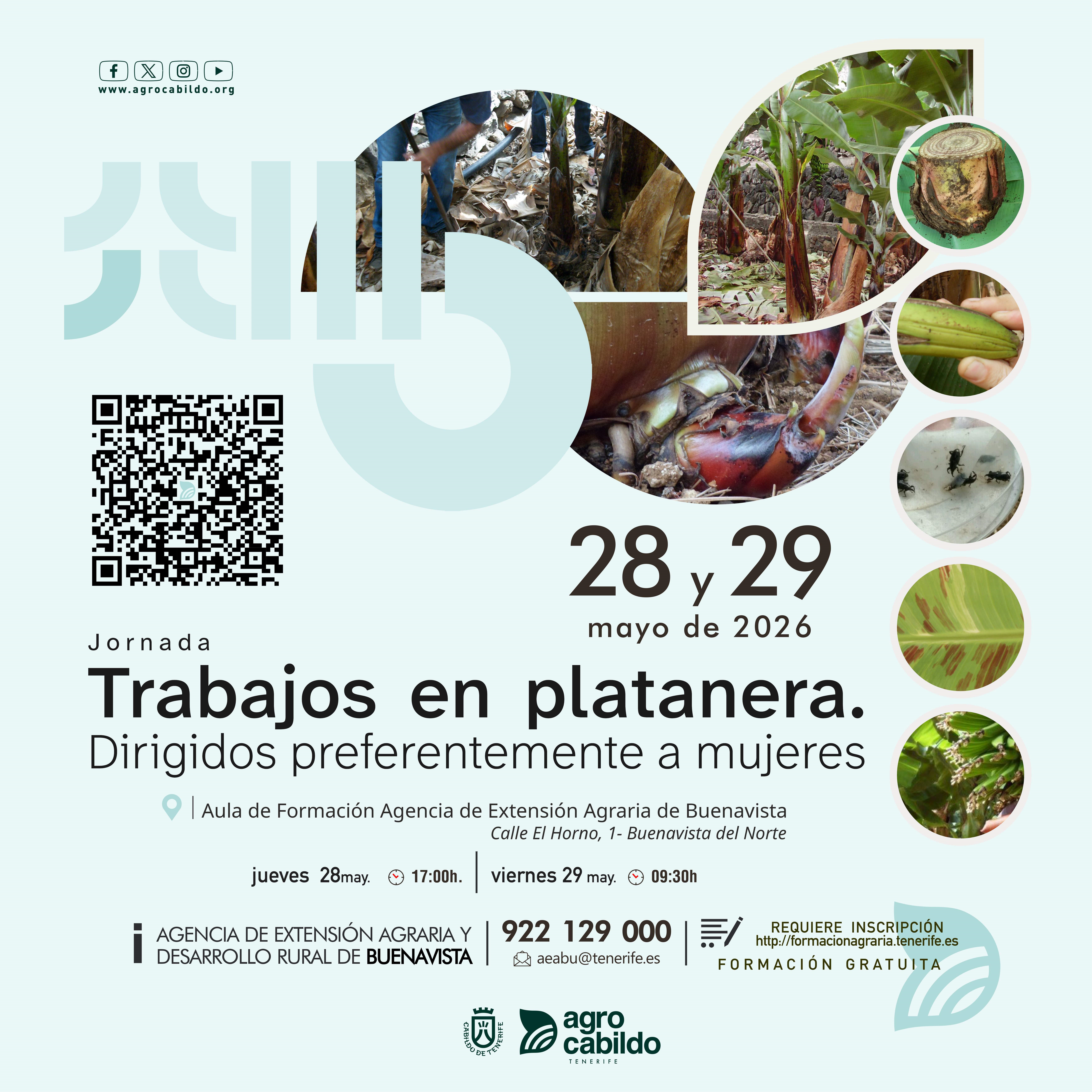 Jornadas Trabajos en platanera. Dirigido preferentemente a mujeres