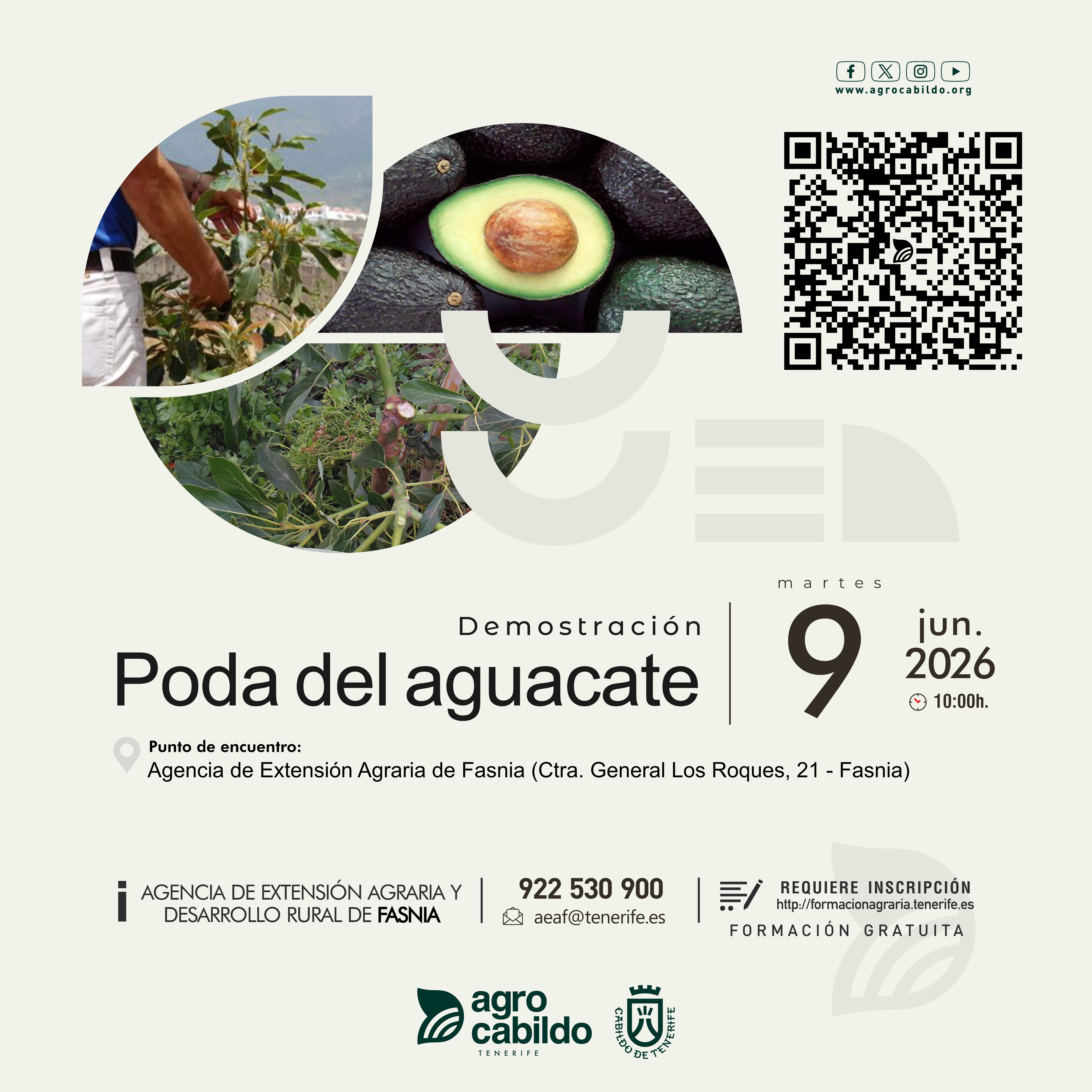 Demostración Poda del aguacate