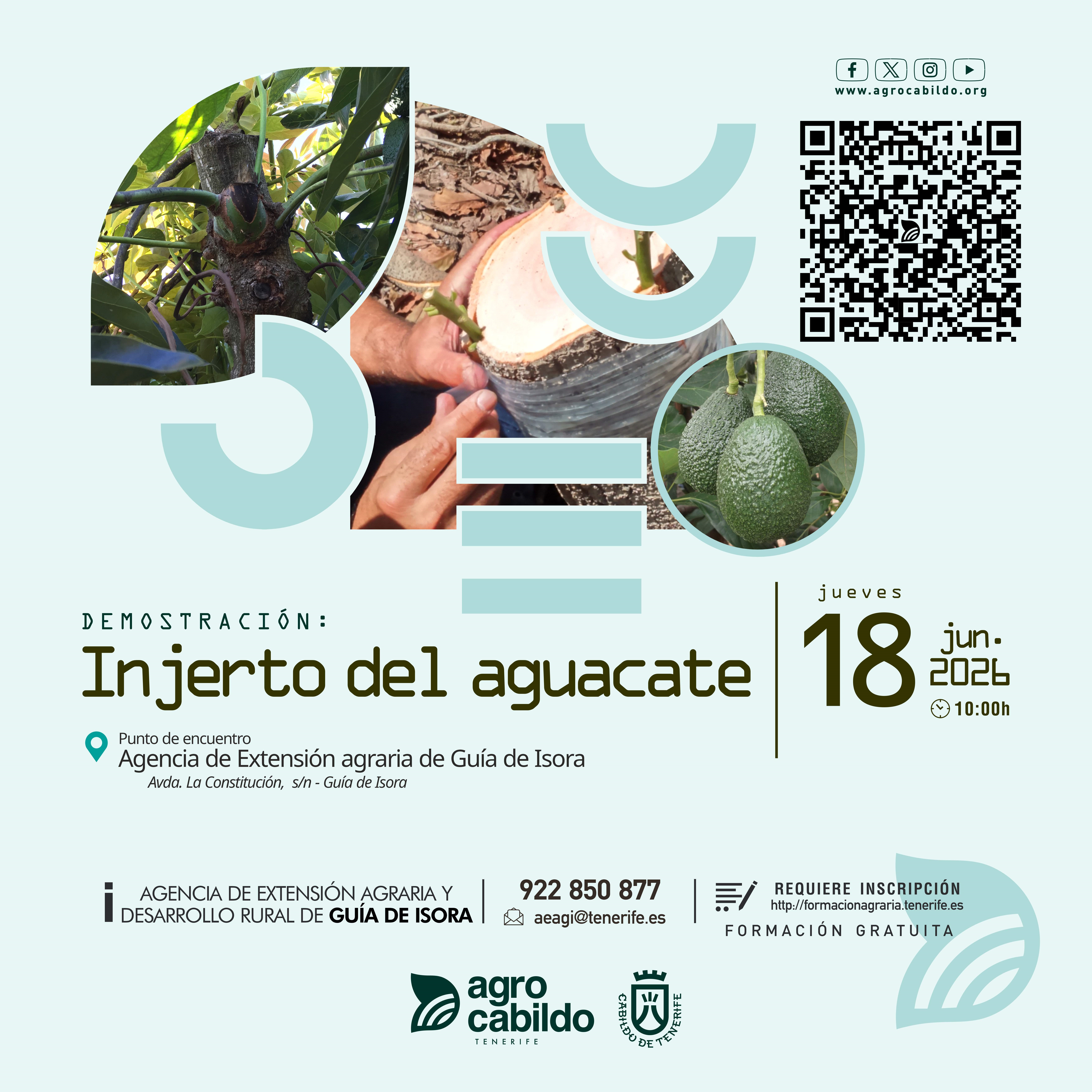 Demostración Injerto del aguacate