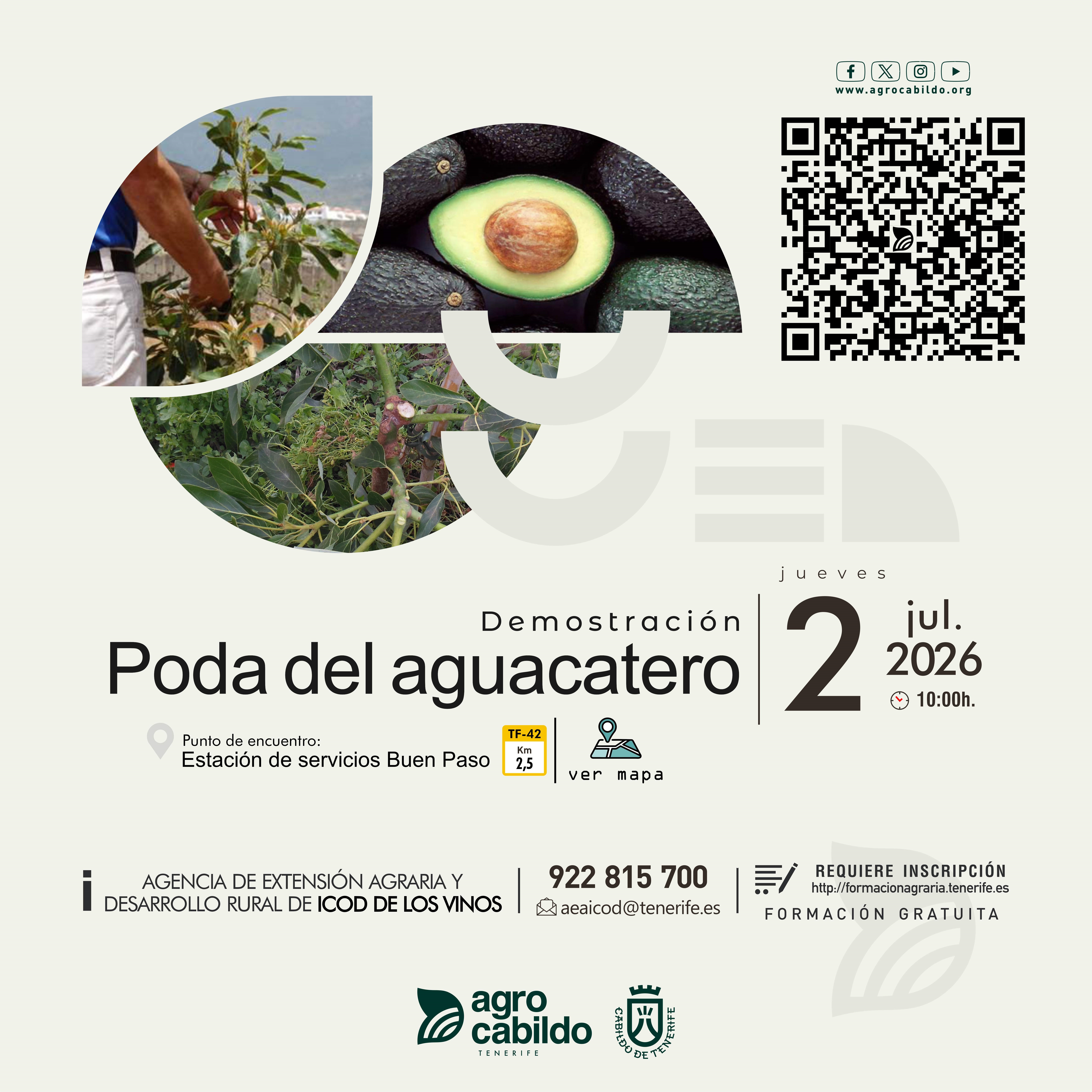 Demostración Poda del aguacatero