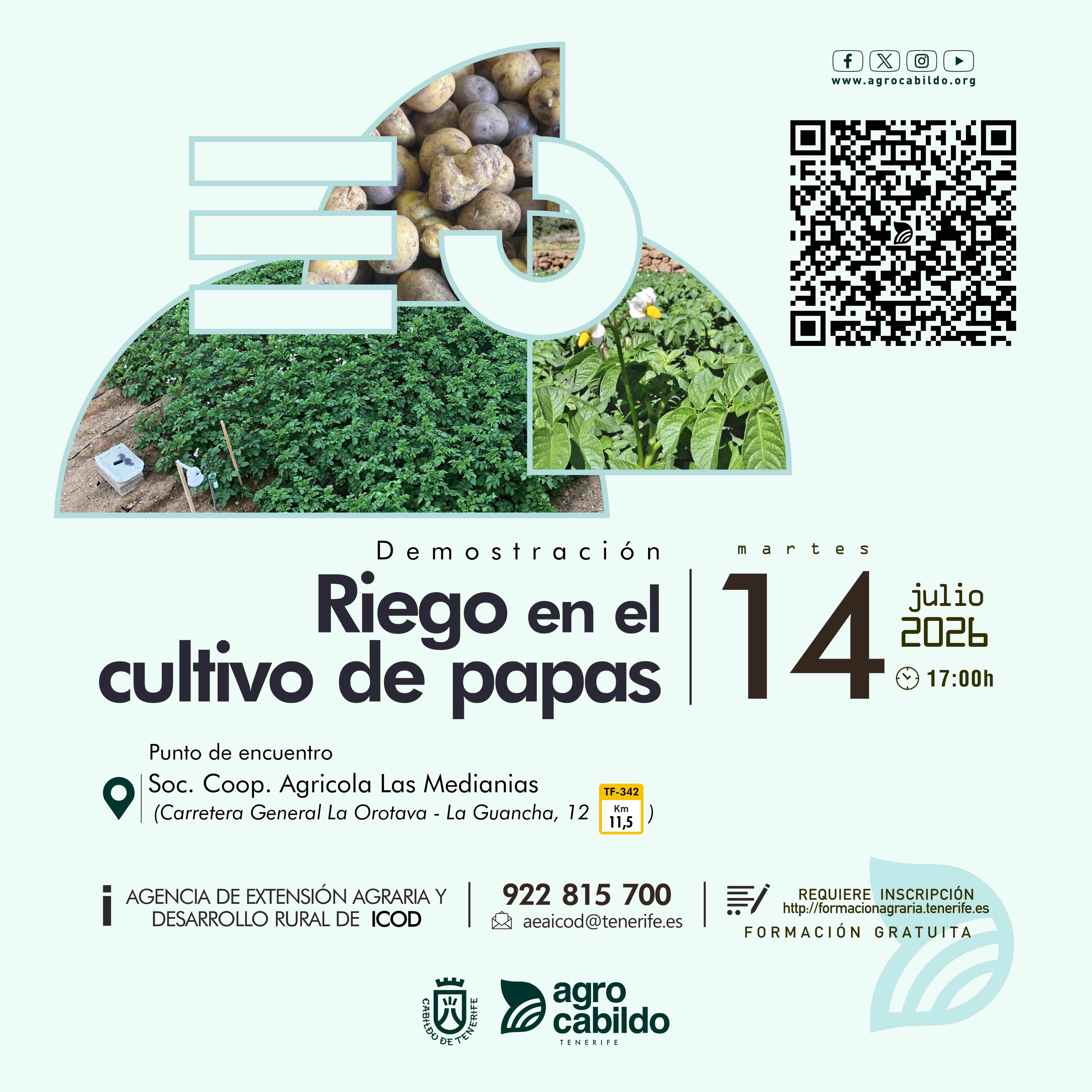 Riego en el cultivo de papas