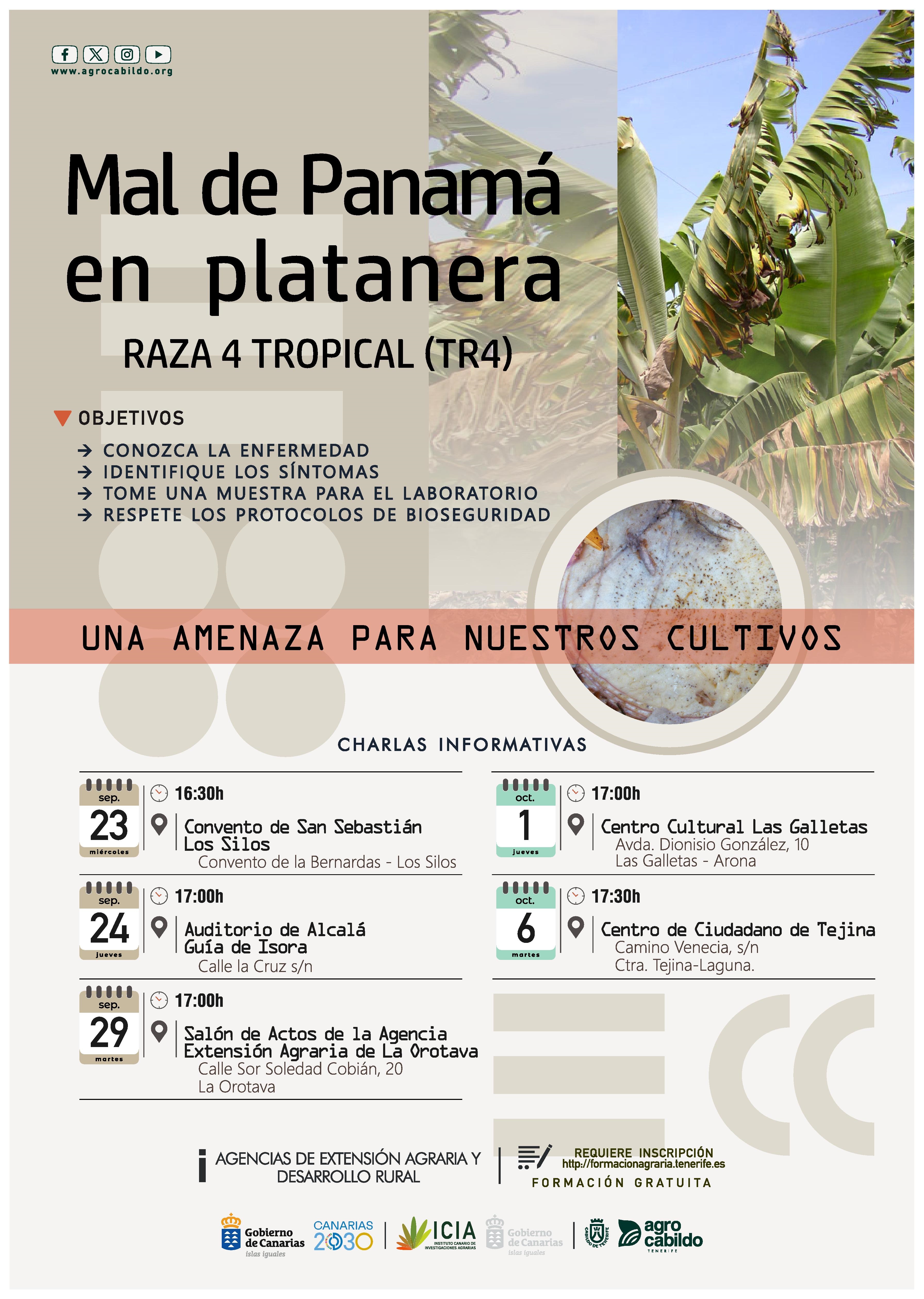 Charlas informativas Nueva raza del Mal de Panamá en platanera