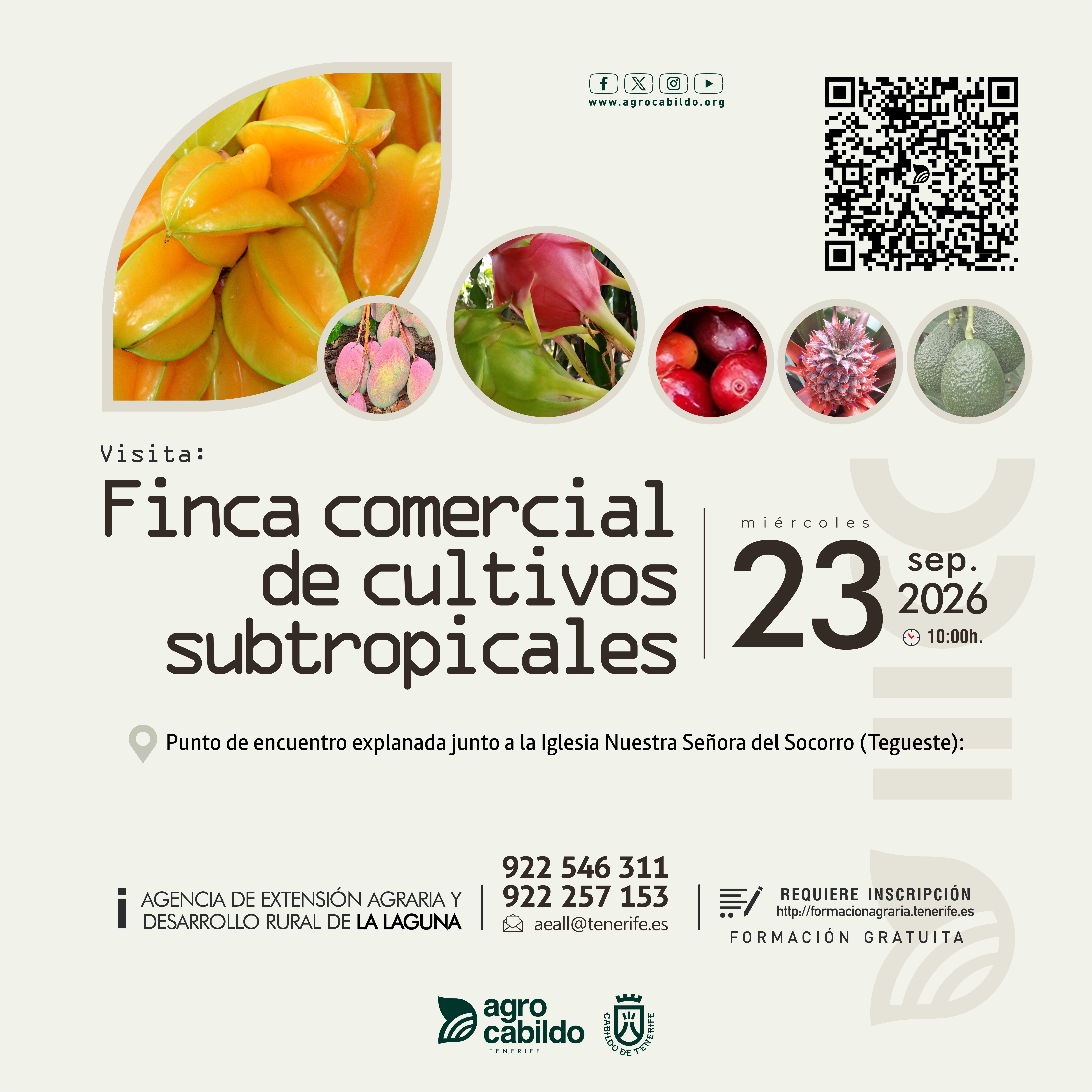 Visita comercial de cultivos subtropicales