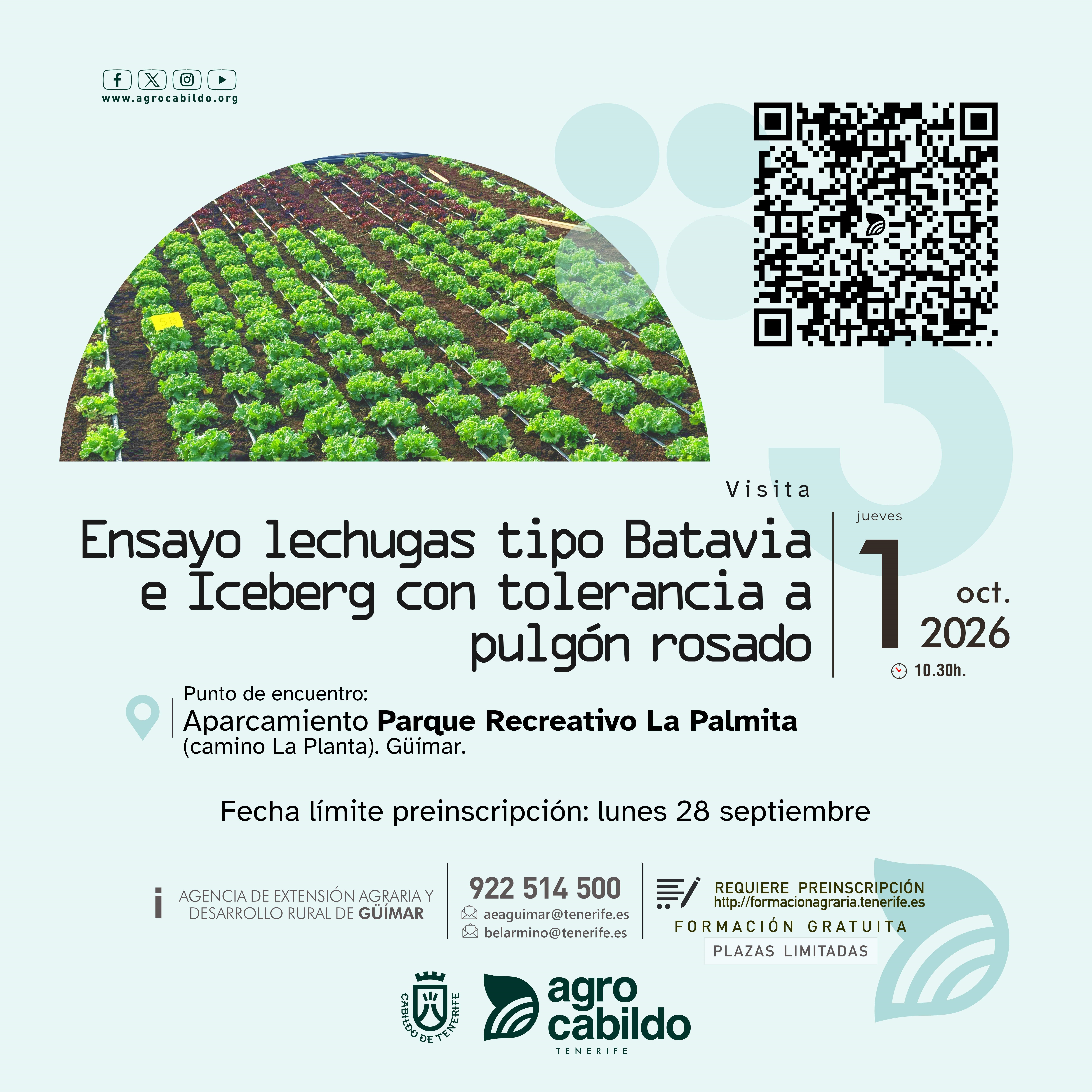PREINSCRIPCIÓN Visita Ensayo lechugas tipo Batavia e Iceberg con tolerancia a pulgón rosado