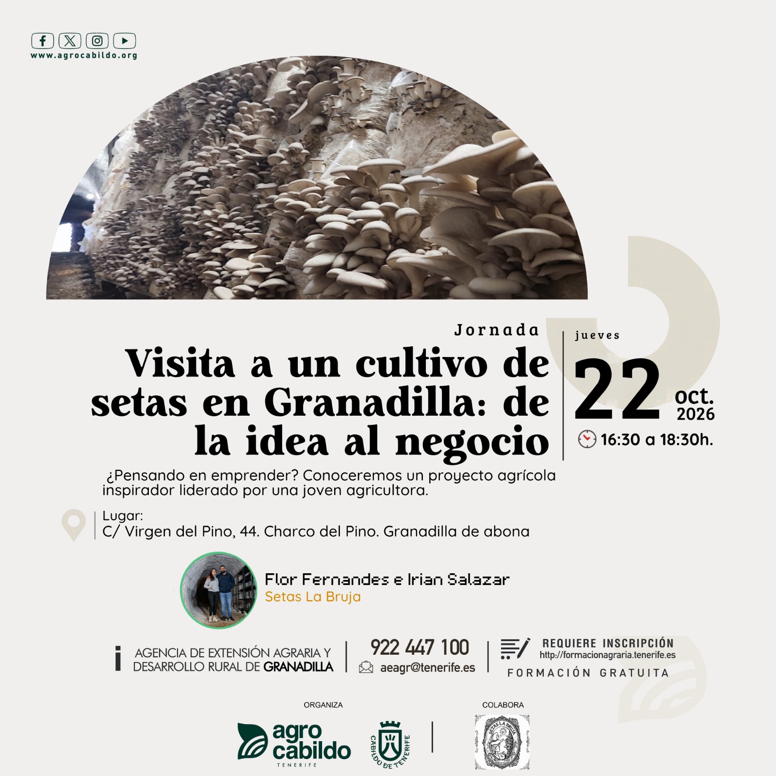 Visita a un cultivo de setas en Granadilla: de la idea al negocio