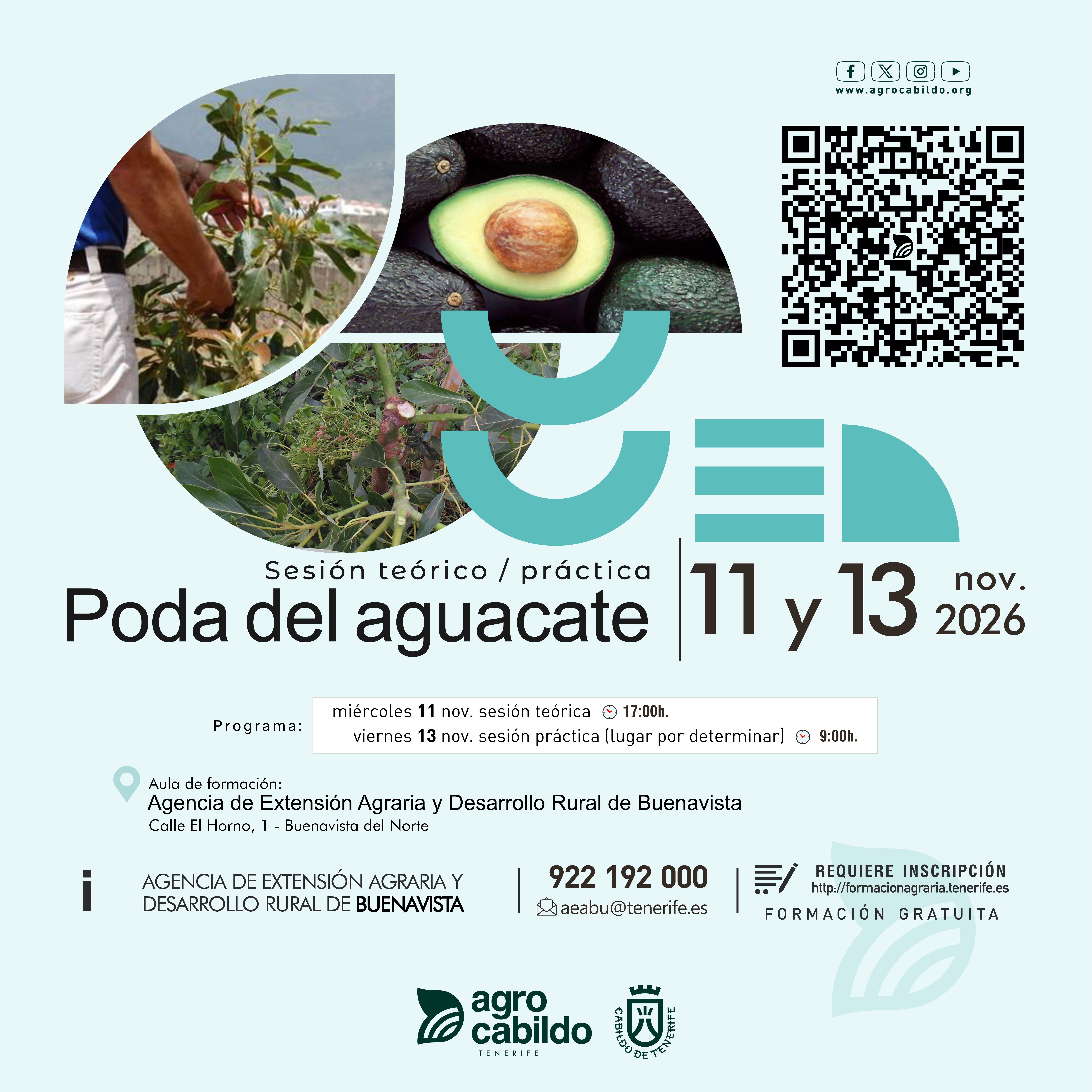 Sesión teórico-práctica Poda y recolección de aguacates